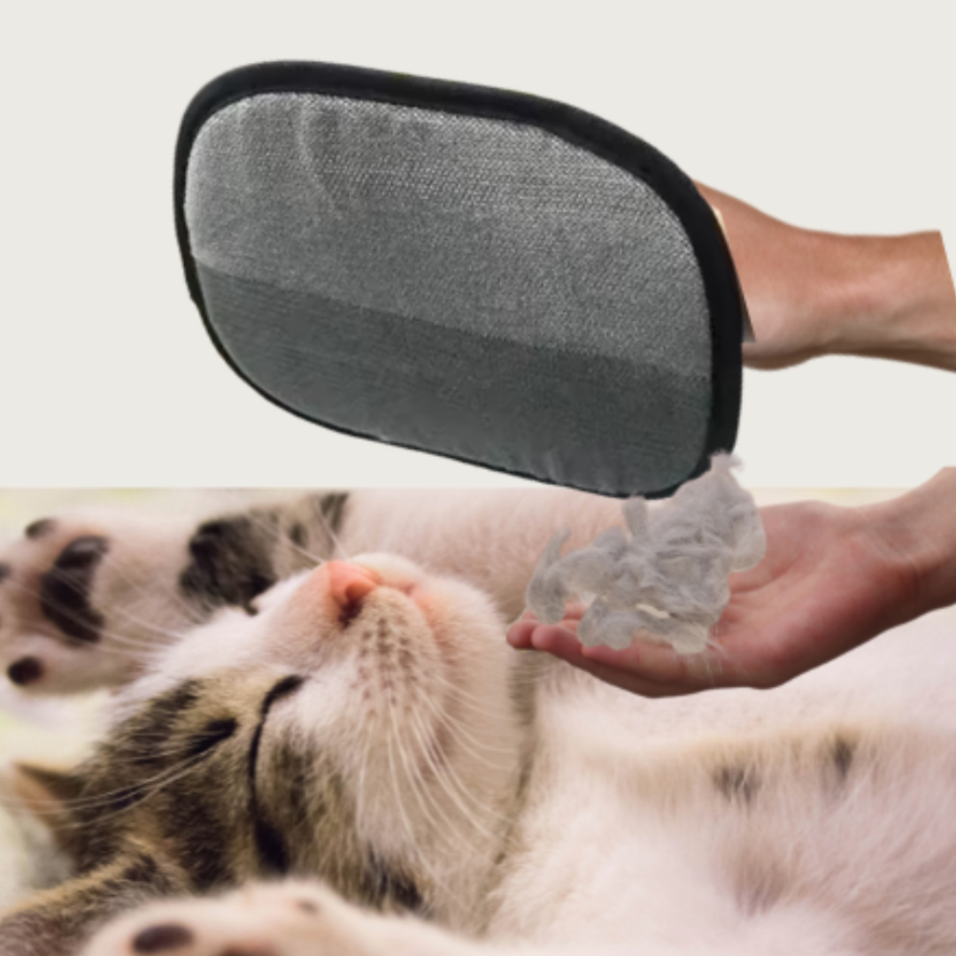 PeloStop Magic  La soluzione anti-peli